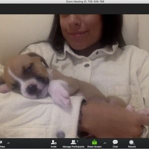 Meet your Posher, Violet